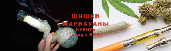 крисы Богданович