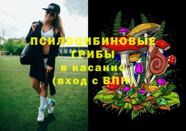 jwh Богородицк