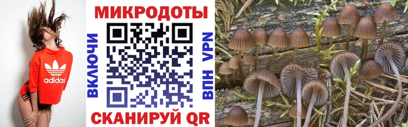 Псилоцибиновые грибы Psilocybine cubensis  Купить  Полесск 